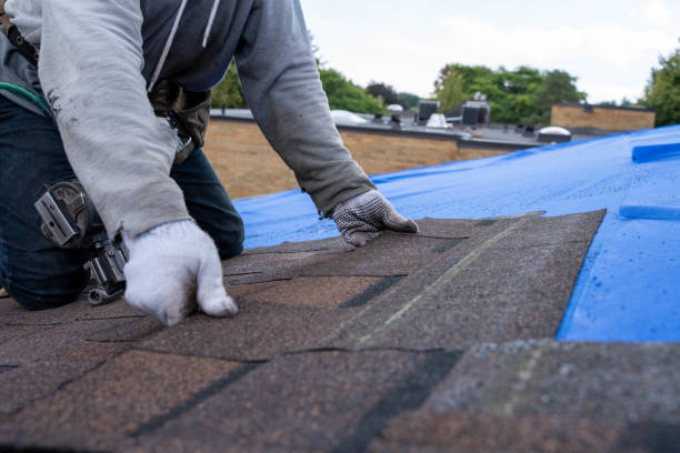Best Roof Gutter Cleaning  in Enon, OH